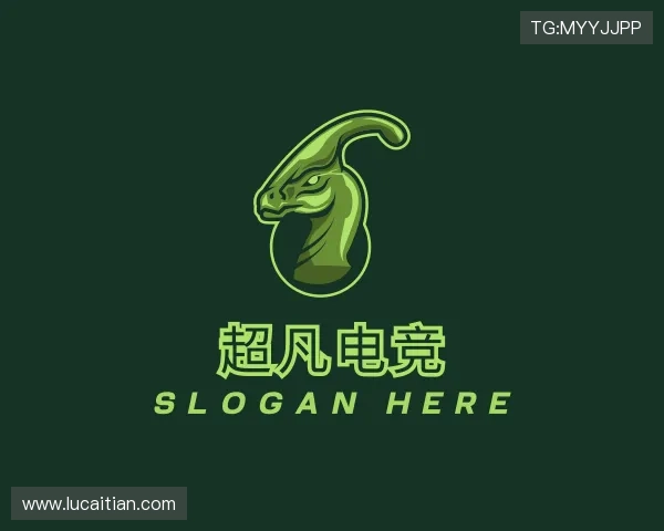 认识赛事资源